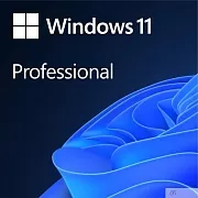 Microsoft Windows 11 [FQC-10529] Professional English 64-bit